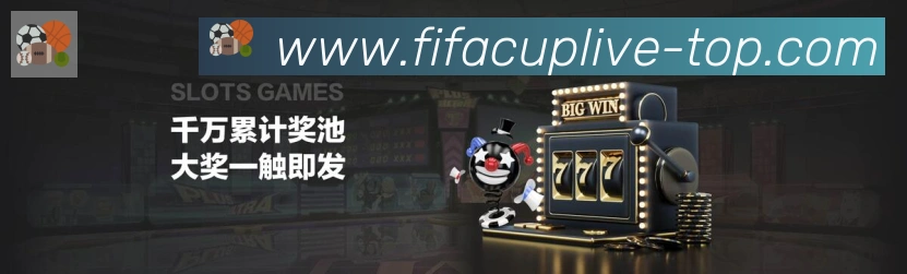 未来规划